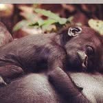 Kenan Pektemek 918 - @roserhodes_462583 - Instagram