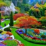 Rose Rigoni - Facebook