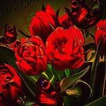 Rose Rivers - @rive880 - Instagram