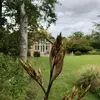rose rivers - @rose.rivers - TikTok
