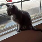 Mary Rose Roark - @roarkmary36 - Instagram