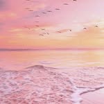 Natural Rose Quartz Roller - @magic_natural_rose_quartz - Instagram