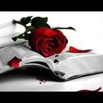 Rose Roybal - @napo_5322 - Instagram