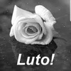 Rose Rubin - @roserubin2 - TikTok