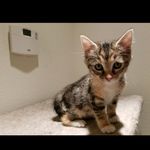 LillyRoseRuggles - @lillyroseruggles - Instagram