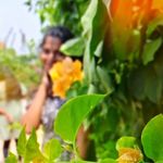 Rose - @rose__russo_ - Instagram
