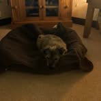 Rose Rutter - Facebook