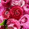 rosesaavedra18 - @rosesaavedra18 - TikTok