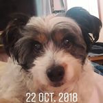 Rose Salas - @rose_marie_salas - Instagram