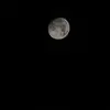 Emilierose Salter - @emilierose.salter - TikTok