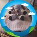 Rose Salzmann - Facebook
