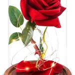 Rose Sarno De Mesa - @rose922820 - Instagram