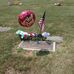 Rose Semmel - Facebook