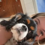 Lola Rose 🐾🌸 - @lolarose_schiffer - Instagram