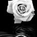 Rose Sears - Facebook
