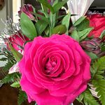Rose Sears Wood - @roses3ts - Instagram
