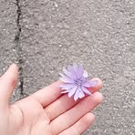 Winter-rose Secord - Facebook