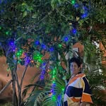 Rose Nany Seibert - @rosenanyseibert - Instagram