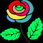 Rose Sheets - @rrosesheets - Instagram