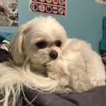 Kirby Rose - @kirby_rose_sherrill - Instagram