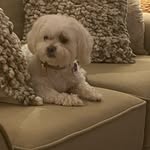 Susan Sherrill - @gemma_rose_sherrill - Instagram