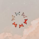 rose shine - @roseshine__ - Instagram