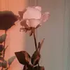 rosie sidhu 💕 - @rosiesidhu - TikTok