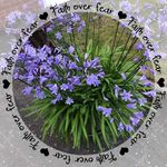 Rose Sinclair - @rose6182 - Instagram