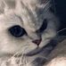 Rose Siu - Facebook
