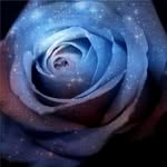 Solar Rose - @solar.rose.episode - Instagram