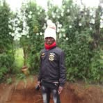 Rose Son - Facebook