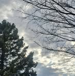 Rose Son - Facebook
