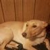 Rose Speicher - Facebook
