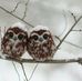 Rose Staats - Facebook