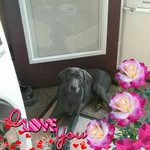 Rosemary Staats - @rosemarystaats - Instagram