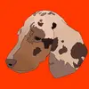 rosestarkey35 - @toby_the_dachshund0 - TikTok