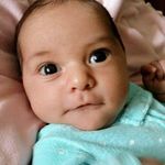 Rose Steele - @rose.steele.16 - Instagram