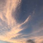 Rose Stern - @rose_stern_ - Instagram