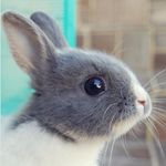 Sandra Bergmann-Stoller - @sandrarosestoller - Instagram