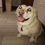 Rose Stratton - @strattonrose40 - Instagram