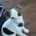 Rose Struble - Facebook