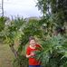 Rose Tallent - Facebook