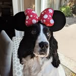 Evangeline Rose Teague - @evie.teague - Instagram