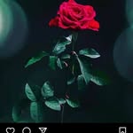 Rose Temba - @rosetemba198 - Instagram
