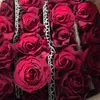 Rose Thao - @thaobikini1987 - TikTok
