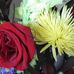 Rosemarie Thiessen - Facebook