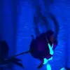 Rose Thorne - @rose.thoren - TikTok