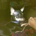 Rose Tice - Facebook
