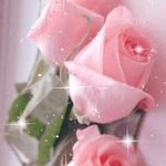Rose Treadway - @rosetreadway - Instagram