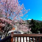 Rose Tsai - Facebook